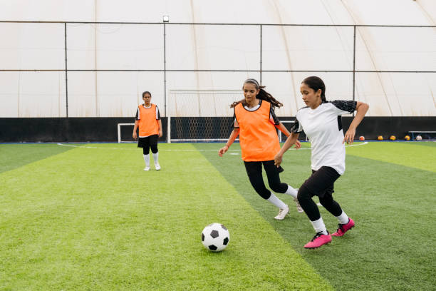 对雄鹿的投 对雄鹿的投